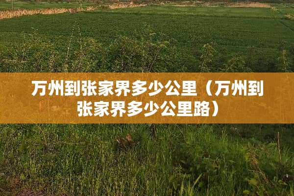 万州到张家界多少公里（万州到张家界多少公里路）