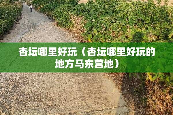 杏坛哪里好玩（杏坛哪里好玩的地方马东营地）