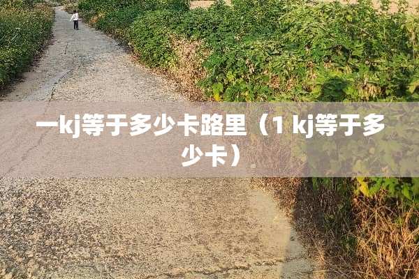 一kj等于多少卡路里（1 kj等于多少卡）