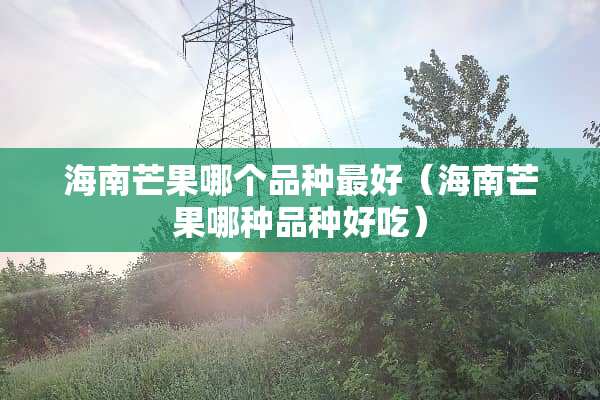 海南芒果哪个品种最好（海南芒果哪种品种好吃）