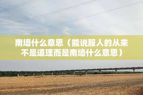 南墙什么意思（能说服人的从来不是道理而是南墙什么意思）