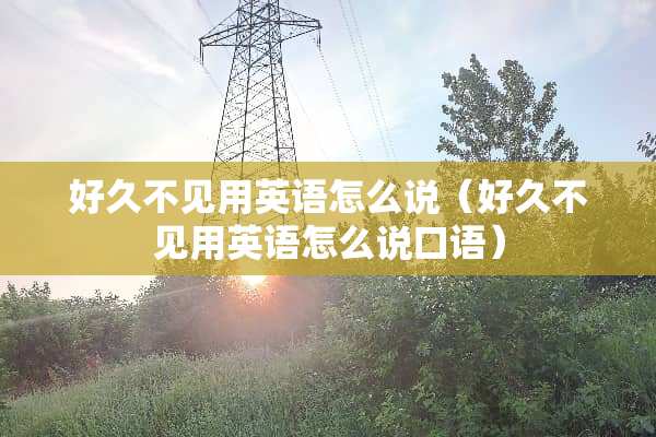 好久不见用英语怎么说（好久不见用英语怎么说口语）