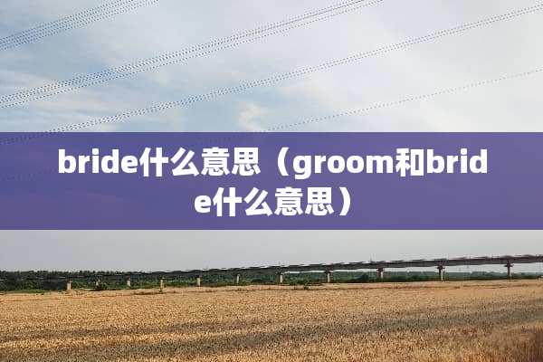 bride什么意思（groom和bride什么意思）