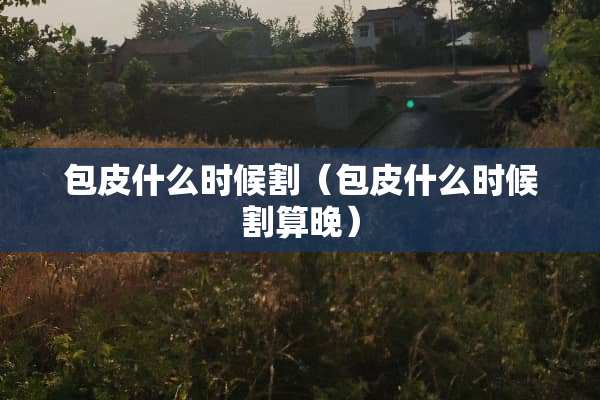 包皮什么时候割（包皮什么时候割算晚）