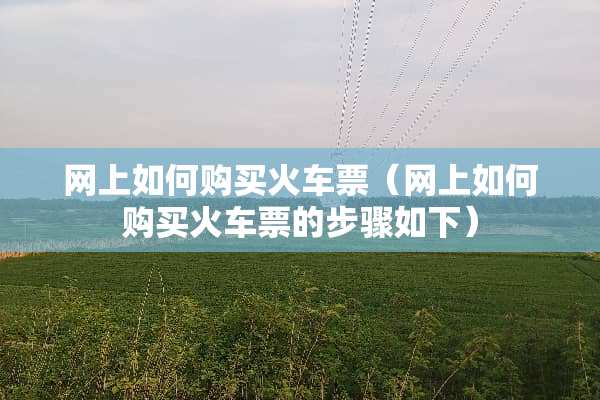 网上如何购买***（网上如何购买***的步骤如下）