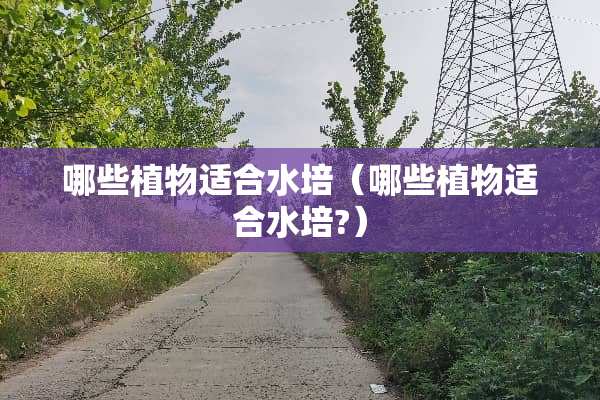 哪些植物适合水培（哪些植物适合水培?）