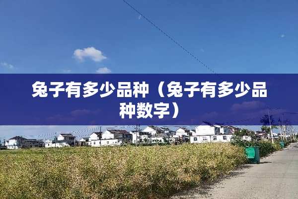 兔子有多少品种（兔子有多少品种数字）
