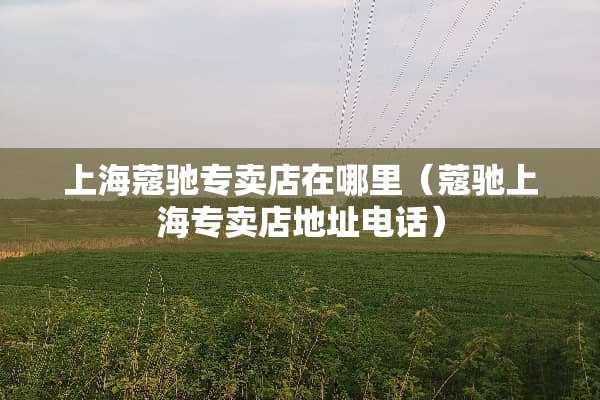 上海蔻驰专卖店在哪里（蔻驰上海专卖店地址电话）