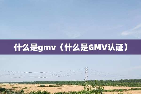什么是gmv（什么是GMV认证）