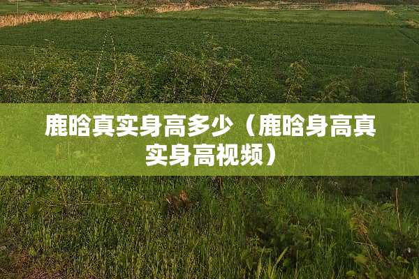 鹿晗真实身高多少（鹿晗身高真实身高视频）