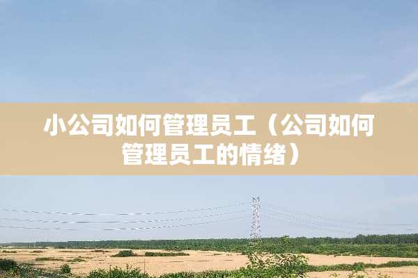小公司如何管理员工（公司如何管理员工的情绪）
