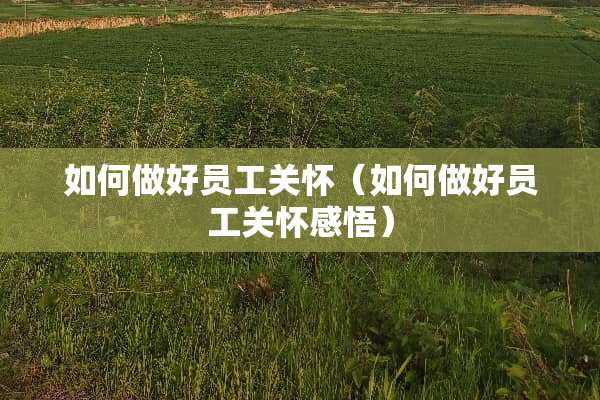 如何做好员工关怀（如何做好员工关怀感悟）