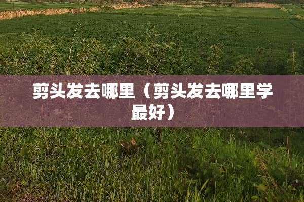 剪头发去哪里（剪头发去哪里学最好）