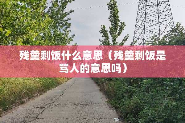 残羹剩饭什么意思（残羹剩饭是骂人的意思吗）