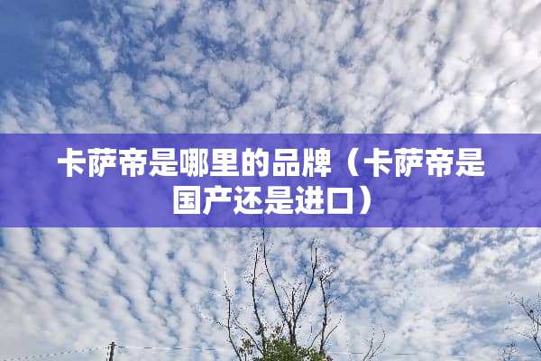 卡萨帝是哪里的品牌（卡萨帝是国产还是进口）