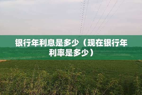 银行年利息是多少（现在银行年利率是多少）