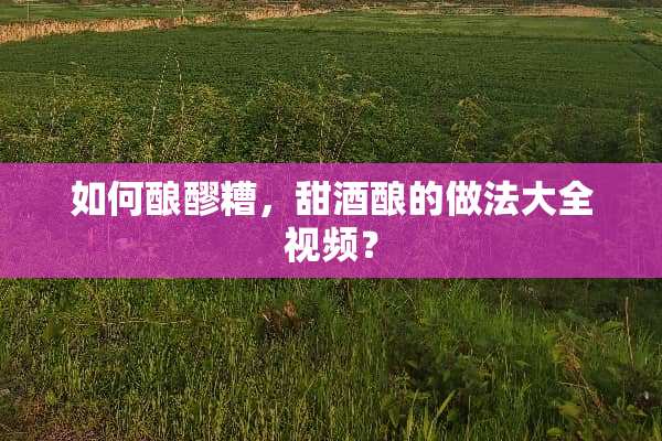 如何酿醪糟，甜酒酿的做法大全视频？