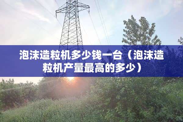 泡沫造粒机多少钱一台（泡沫造粒机产量最高的多少）