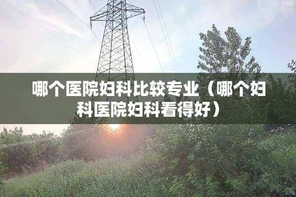 哪个医院妇科比较专业（哪个妇科医院妇科看得好）