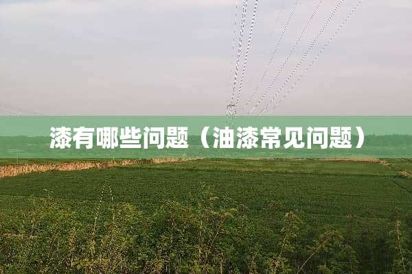 漆有哪些问题（油漆常见问题）