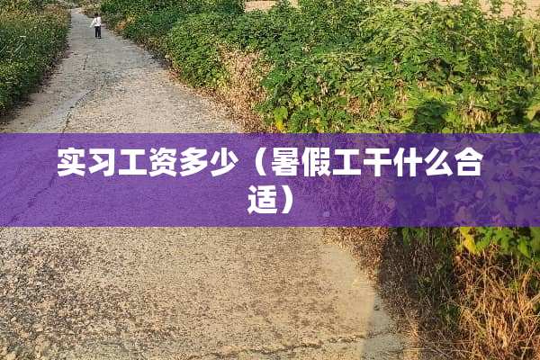 实习工资多少（暑假工干什么合适）