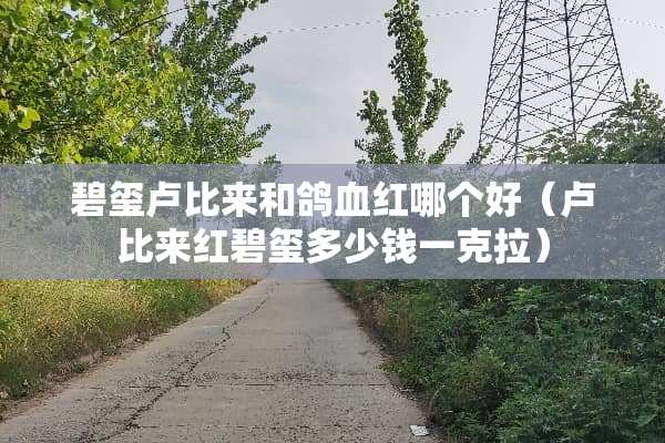 碧玺卢比来和鸽血红哪个好（卢比来红碧玺多少钱一克拉）