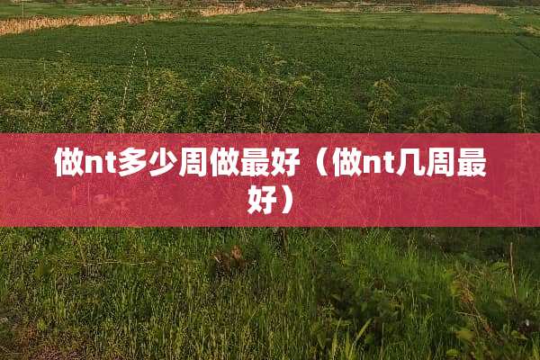 做nt多少周做最好（做nt几周最好）