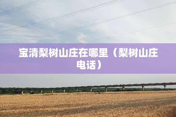 宝清梨树山庄在哪里（梨树山庄电话）