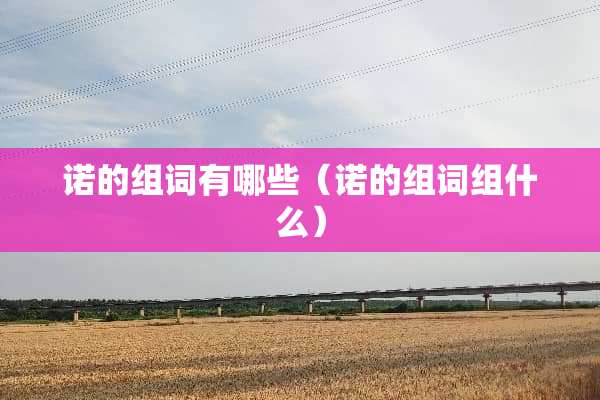 诺的组词有哪些（诺的组词组什么）