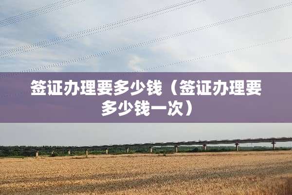 签证办理要多少钱（签证办理要多少钱一次）