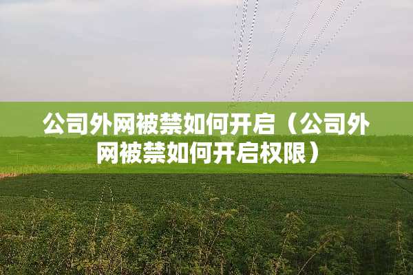 公司外网被禁如何开启（公司外网被禁如何开启权限）