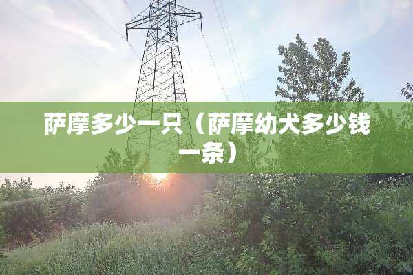 萨摩多少一只（萨摩幼犬多少钱一条）