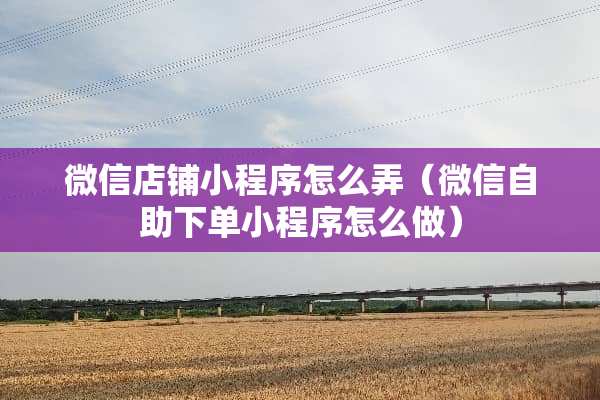 微信店铺小程序怎么弄（微信自助下单小程序怎么做）