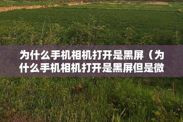 为什么手机相机打开是黑屏（为什么手机相机打开是黑屏但是微信能用）