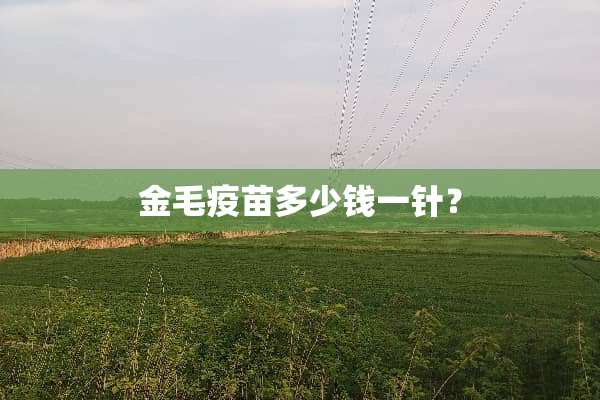 金毛**多少钱一针？