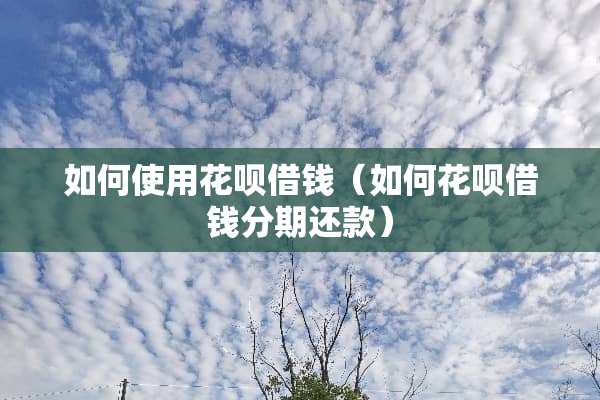 如何使用花呗借钱（如何花呗借钱分期还款）
