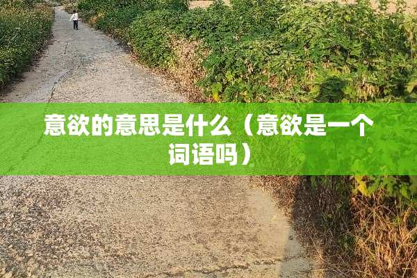 意欲的意思是什么（意欲是一个词语吗）