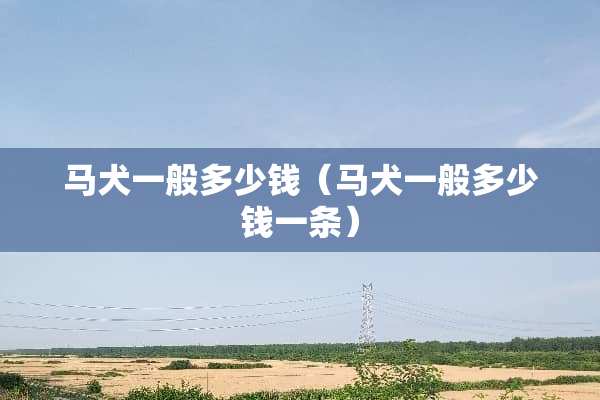 马犬一般多少钱（马犬一般多少钱一条）