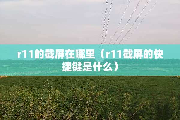 r11的截屏在哪里（r11截屏的快捷键是什么）