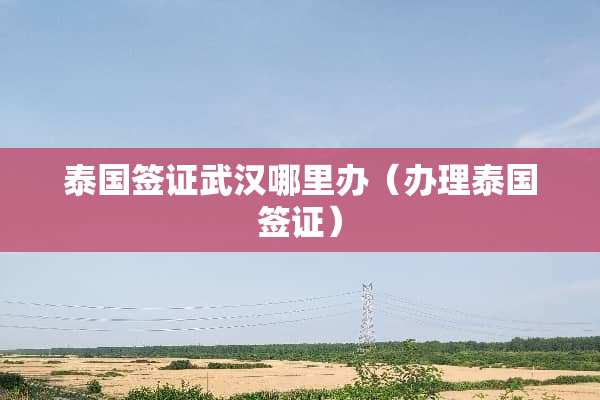 泰国签证武汉哪里办（办理泰国签证）