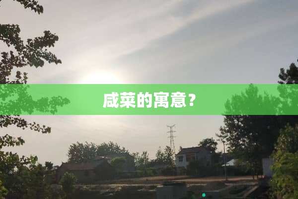 咸菜的寓意？