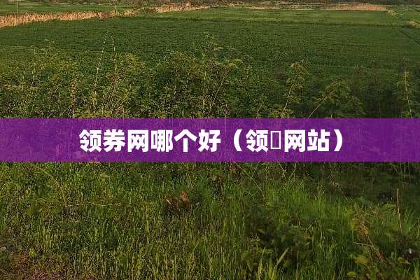 领券网哪个好（领劵网站）