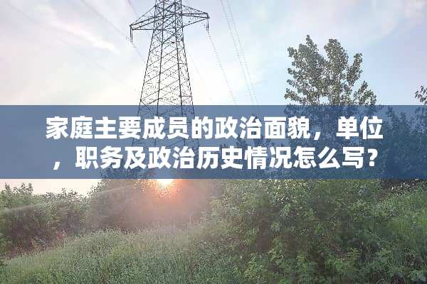 家庭主要成员的**面貌，单位，职务及**历史情况怎么写？