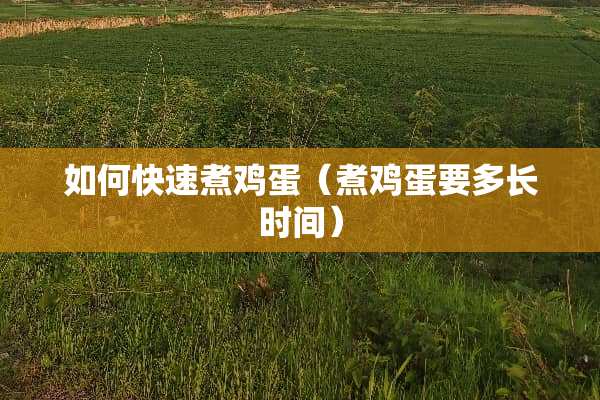 如何快速煮鸡蛋（煮鸡蛋要多长时间）