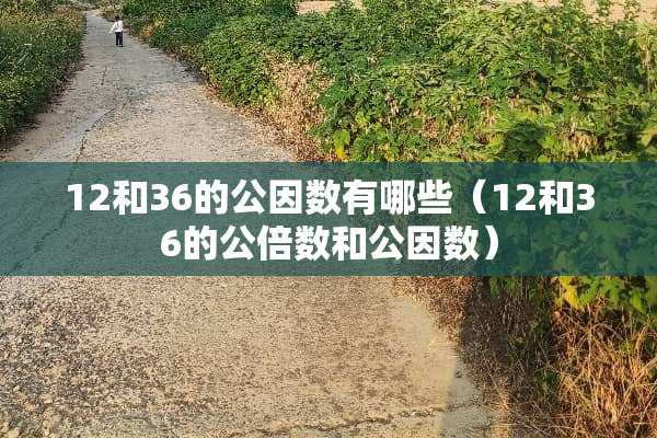 12和36的公因数有哪些（12和36的公倍数和公因数）