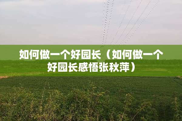 如何做一个好园长（如何做一个好园长感悟张秋萍）