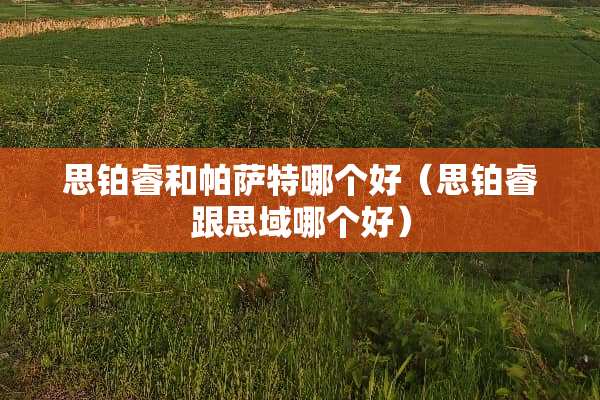 思铂睿和***哪个好（思铂睿跟思域哪个好）