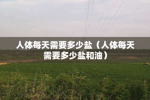 人体每天需要多少盐（人体每天需要多少盐和油）