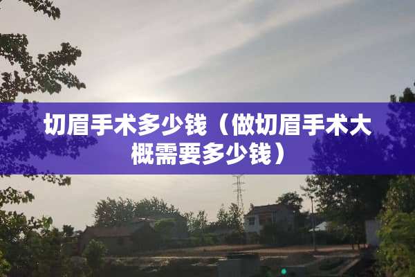 切眉手术多少钱（做切眉手术大概需要多少钱）