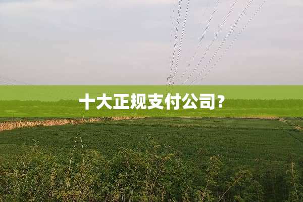 十大正规支付公司？
